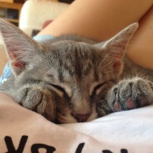 Meet your Posher, Olivia